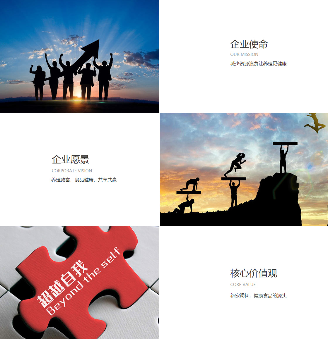 j9九游会老哥俱乐部交流(图1)
